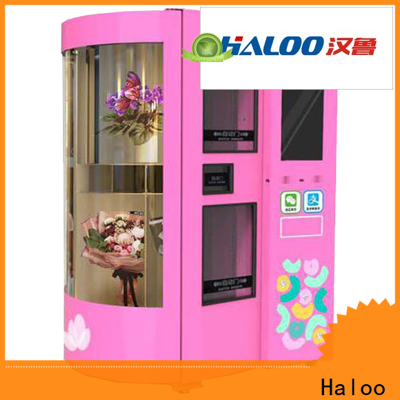 Haloo customized vending machine supplier outdoor