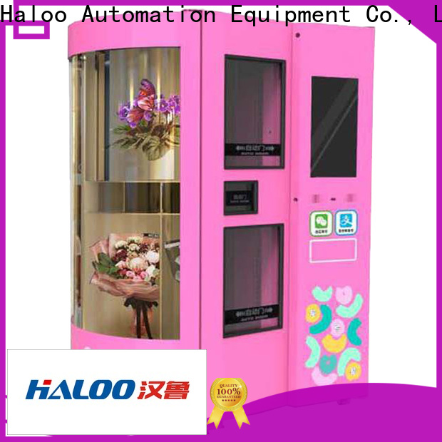 Haloo intelligent commercial ice vending machine wholesale for food
