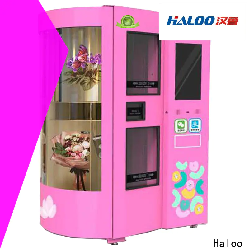 Haloo convenient innovative vending machines factory