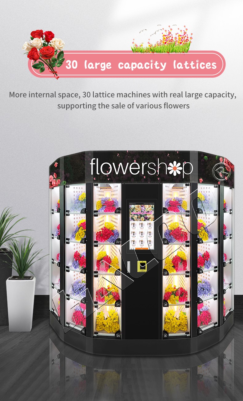 Haloo Intelligent floral vending machine wholesale for shopping mall-5
